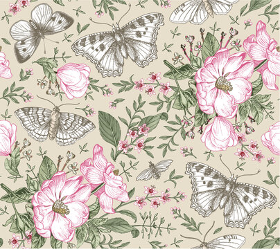 Seamless pattern Flowers. Butterflies moths insect fly Blooming Dogrose Rosehip wild rose realistic isolated Vintage fabric background Set Wildflowers. Drawing engraving Vector victorian Illustration