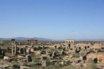 Fototapeta premium Ancient Roman ruins in Volubilis, Morocco