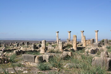 Fototapeta na wymiar Ruins of ancient Roman city of Volubilis, Morocco