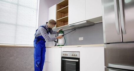 Termite Pest Control Insect Service