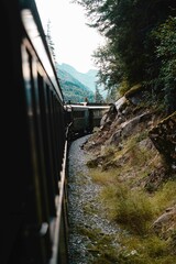 vertical shot of train on an alpine landscape setting with trees and mountains