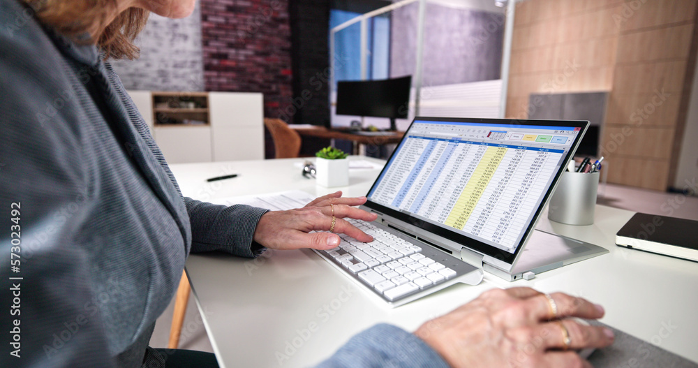 Aufkleber electronic spreadsheet analyst or auditor using software