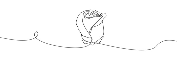 Rose with leaves one line drawing.Continuous line drawing of flower.Hand drawn rose.Single one line flower rose.