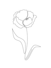 Poppy with leaves one line drawing.Continuous line drawing of flower.Hand drawn poppy.Single one line flower poppy.Flower outline sketch.