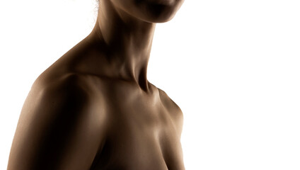 Fototapeta premium The close-up of a young woman's neck in the shadow on white background