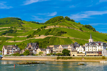 Ruedesheim Assmannshausen, Rudesheim am Rhein Rhine, Rheingau-Taunus-Kreis, Darmstadt, Hessen, Germany