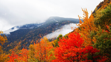 Autumn in the Park