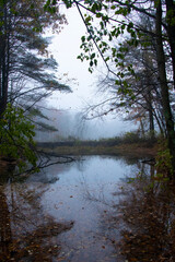 Foggy Fall on the Water