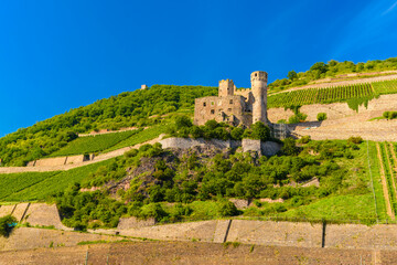 Fototapeta na wymiar Ancient German fortress, ruins of Ehrenfels castle in Ruedesheim am Rhein Rhine, Rudesheim, Rheingau-Taunus-Kreis, Darmstadt, Hessen, Germany