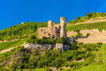 Ancient German fortress, ruins of Ehrenfels castle in Ruedesheim am Rhein Rhine, Rudesheim, Rheingau-Taunus-Kreis, Darmstadt, Hessen, Germany