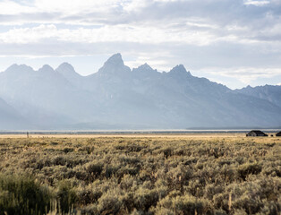 Grand Tetons National Park - Mormon's Row