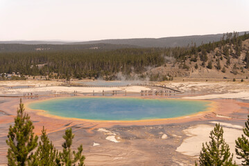 Grand Prismatic in Yellowstone National Park