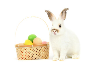 Portrait of happy fluffy aorable white bunny rabbit  with basket painted Easter egg on white background. celebrate Easter holiday and spring coming concept.