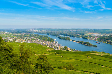 Areial view on vineyards and river near Ruedesheim am Rhein Rhine, Rudesheim, UNESCO World Heritage Site, Rheingau-Taunus-Kreis, Darmstadt, Hessen, Germany - obrazy, fototapety, plakaty