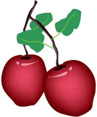 Delicious Fresh Red Apple With Green Leaves Hanging on Tree Branch.
