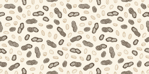 Vector peanut shells and seeds seamless pattern