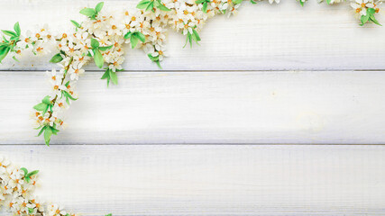 Cherry tree blossom. April floral nature and spring sakura blossom on wooden background. Banner for 8 march, Happy Easter with place for text. Springtime concept. Top view. Flat lay.