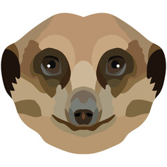 Meerkat face. An illustration of a meerkat's muzzle is depicted. Bright portrait on a white background. Vector graphics. animal logo.