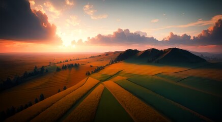 Fototapeta na wymiar Golden wheat field landscape [AI Generated]