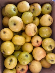 apples in a market