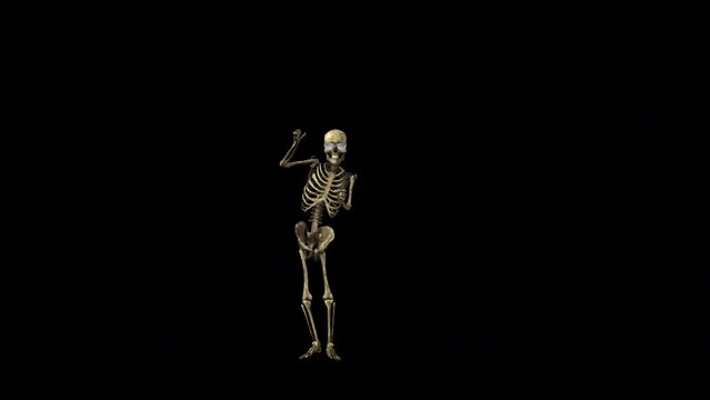 Skeleton Party Dancer 3D Animation With Alpha Video