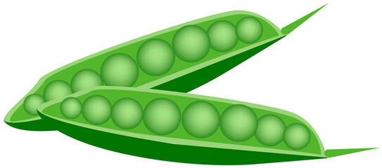 Illustration of Fresh Green Peas Pods. A Good Source of Dietary Fiber, Protein, Citamins and Minerals.
