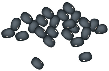 Dried Black Bean, Good Source of Dietary Fiber, Vitamins and Minerals.
