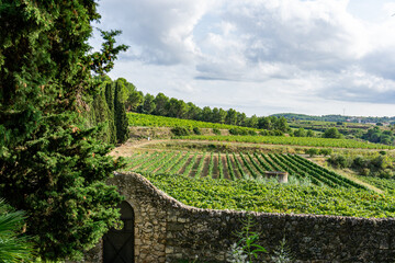 Wine landscapes of Penedes