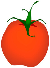 Vegetable, Fresh Ripe Red Tomato. A Popular Fruit Often Used in Cooking.
