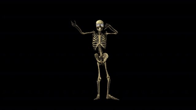 Skeleton Party Dancer 3D Animation With Alpha Video