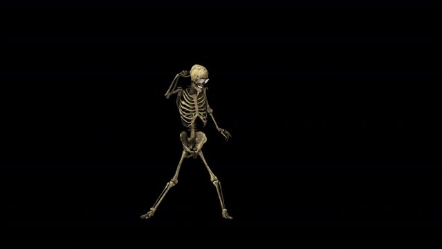 Skeleton Party Dancer 3D Animation With Alpha Video