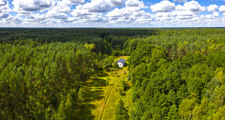 Samotna chatka w lesie pośród drzew z prowadzącą do niego zieloną polaną
