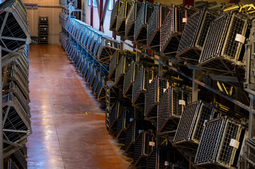 Production of cremant sparkling wine in Burgundy, France. Automatically powered riddling remuage boxes on factory.