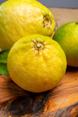 Fresh ripe bergamot orange fruits, fragrant citrus used in earl grey tea, medicine and spa...