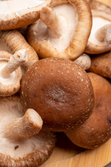 Fresh brown Lentinula edodes or shiitake edible mushrooms
