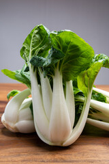 Young organic white bok choy or bak choi Chinese cabbage ready to cook