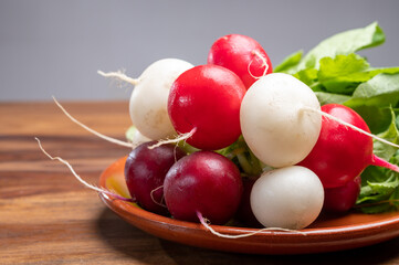 Fresh washed white and red radish vegetables ready to eat close up