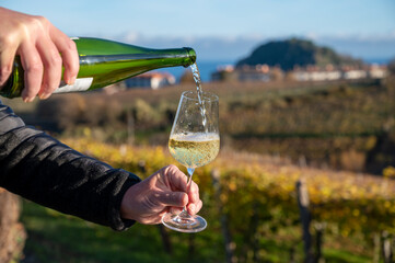 Pouring of txakoli or chacolí slightly sparkling very dry white wine produced in Spanish Basque...