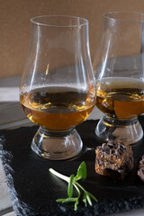 Scotch single malt and blended whisky tasting on distillery in Scotland close up