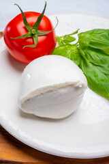 White ball of Italian soft cheese Mozzarella di Bufala Campana served with fresh green basil and red tomato