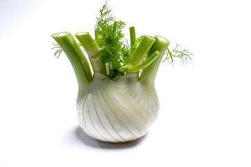 Healthy vegetable diet, raw fresh florence fennel bulbs close up isolated on white background