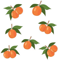 Pattern with apricots.