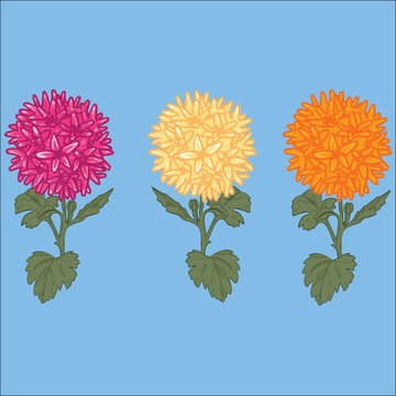 set of flowers isolated
