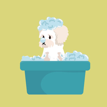 Cute Dog