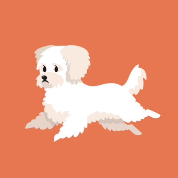 Cute Dog