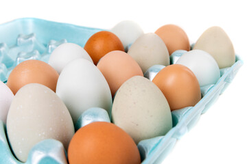 Multicolored farm fresh eggs in a blue egg carton