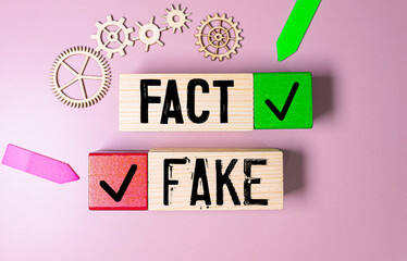 Confusion between fact and fake news using wooden cubes