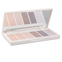Eyeshadow palette in a case isolated on a white background.