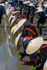 ユネスコ無形文化遺産の広島県北広島町、壬生の花田植