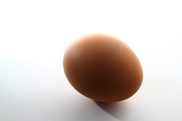Chicken egg is a main component of the human diet serving as a dietary source of protein, fat, and other nutrients